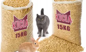 Żwirek Drewniany: Jakie są najlepsze opcje dla Twojego kota?
