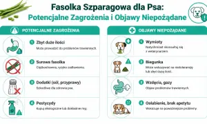 Czy pies może fasolkę szparagową? Obraz przedstawia zagrożenia i objawy niepożądane podania jej psom: problemy trawienne, wymioty, biegunka, wzdęcia.