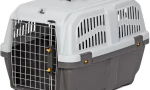 Najlepszy transporter dla kota rozmiar 2 – idealny wybór na podróż