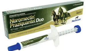 Kiedy najlepiej odrobaczyć konia przed czy po jedzeniu dla lepszych efektów?