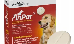 Jak działa tabletka na odrobaczanie psa: mechanizm, dawkowanie, skuteczność