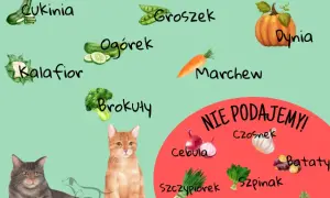 Czy koty mogą jeść pietruszkę: Zaskakująca prawda o bezpieczeństwie podawania