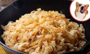 Czy pies może jeść kapustę? Poznaj bezpieczne porcje i formy podawania