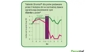 Wykres porównuje liczbę cyst Giardia u psów leczonych i kontrolnych. Leczenie Drontalem znacząco ogranicza wysiew cyst.