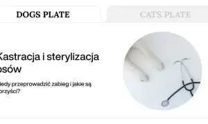 Łapy psa i stetoskop symbolizują troskę o zdrowie, a tekst informuje o zabiegu sterylizacji psa.