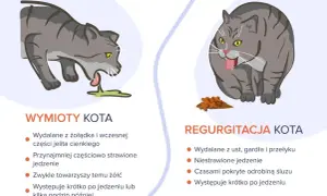 Ilustracja porównuje wymioty kota z regurgitacją. Nie opisuje, jak wywołać wymioty u kota, ale pokazuje różnice w objawach.