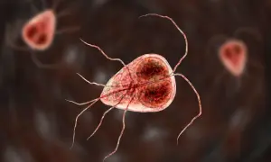 Trofazoity Giardia lamblia, pasożyty jelitowe. Skuteczne lamblia leczenie jest kluczowe dla zdrowia.