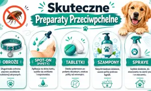 Skuteczne preparaty przeciw pchłom dla psa: obroże, spot-on, tabletki, szampony i spraye. Domowe sposoby na pchły u psa to między innymi te metody.