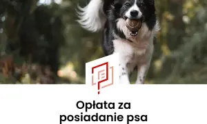 Radosny piesek z piłeczką w pysku. Tekst informuje o opłacie za posiadanie psa, czyli o podatku od psa.
