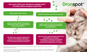 Co ile odrobacza się kota - kompletny harmonogram dla każdego pupila