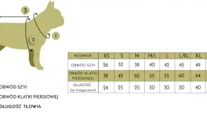 Jak dobrać rozmiar klatki dla psa: 5 najważniejszych wymiarów i zasad