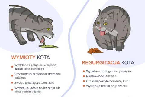 Ilustracja pokazuje dwa koty. Jeden kot ma zielone wymioty, drugi kot zwraca niestrawione jedzenie.