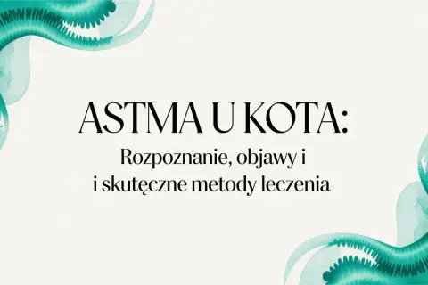 Astma u kota: rozpoznanie, objawy i skuteczne metody leczenia. Woda w akwarelowym stylu podkreśla delikatność tematu.