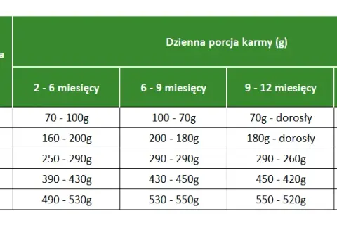 Co mogą jeść szczeniaki? Najlepsze pokarmy dla zdrowego wzrostu