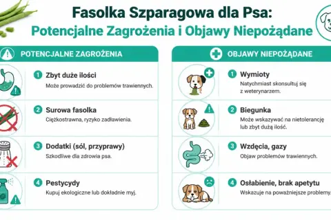 Czy pies może fasolkę szparagową? Obraz przedstawia zagrożenia i objawy niepożądane podania jej psom: problemy trawienne, wymioty, biegunka, wzdęcia.