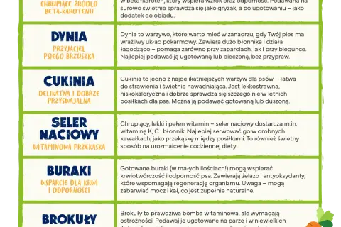 Czy koty mogą jeść buraki? Poznaj bezpieczne zasady karmienia pupila