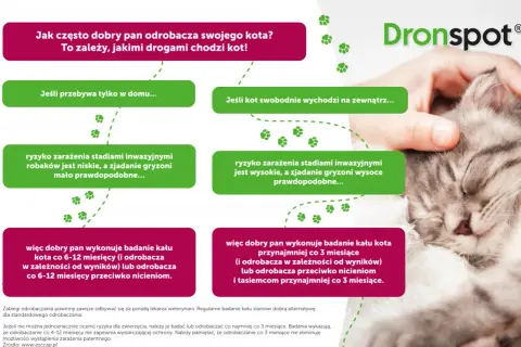 Co ile odrobacza się kota - kompletny harmonogram dla każdego pupila