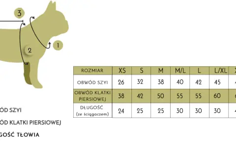 Jak dobrać rozmiar klatki dla psa: 5 najważniejszych wymiarów i zasad