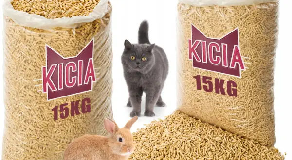 Żwirek Drewniany: Jakie są najlepsze opcje dla Twojego kota?