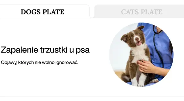 Szczeniak z objawami zapalenia trzustki u psa, badany przez weterynarza.