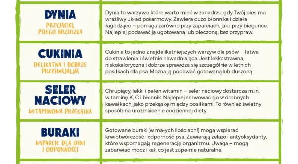 Czy koty mogą jeść buraki? Poznaj bezpieczne zasady karmienia pupila