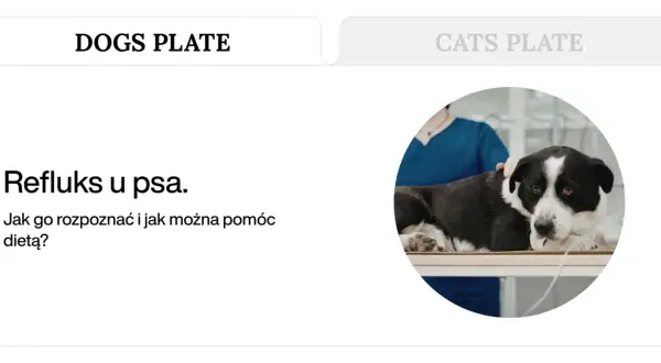 Pies z podejrzeniem refluksu u weterynarza. Poznaj objawy refluksu u psa i jak dieta może pomóc.