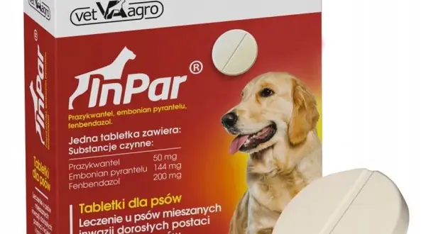 Jak działa tabletka na odrobaczanie psa: mechanizm, dawkowanie, skuteczność