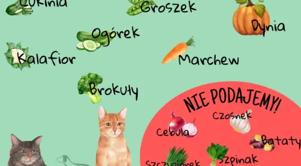 Czy koty mogą jeść pietruszkę: Zaskakująca prawda o bezpieczeństwie podawania