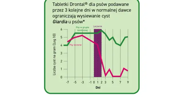 Wykres porównuje liczbę cyst Giardia u psów leczonych i kontrolnych. Leczenie Drontalem znacząco ogranicza wysiew cyst.