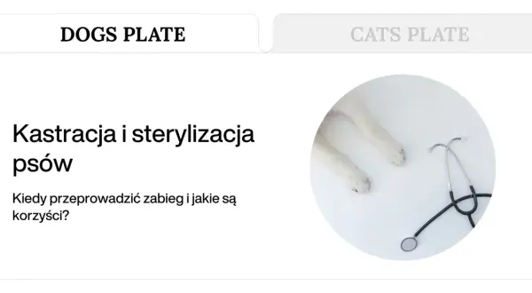 Łapy psa i stetoskop symbolizują troskę o zdrowie, a tekst informuje o zabiegu sterylizacji psa.