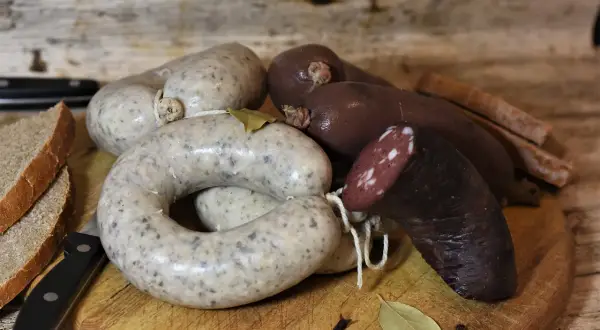 Czy pies może jeść kaszankę? Dowiedz się, co może mu zaszkodzić