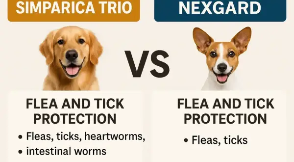 Porównanie Simparica Trio i Nexgard: tabletki na kleszcze dla psa. Simparica Trio chroni przed kleszczami, pchłami, nicieniami i robakami.