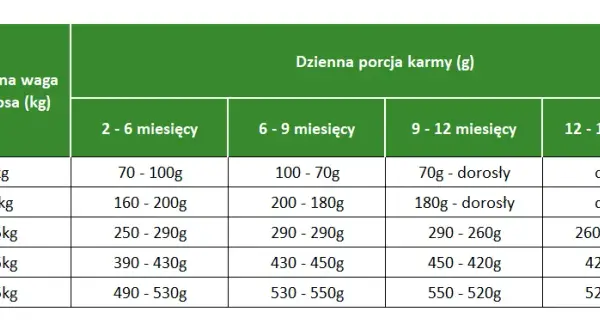 Czy szczeniak może jeść karmę dla dorosłych psów i co to oznacza dla zdrowia?