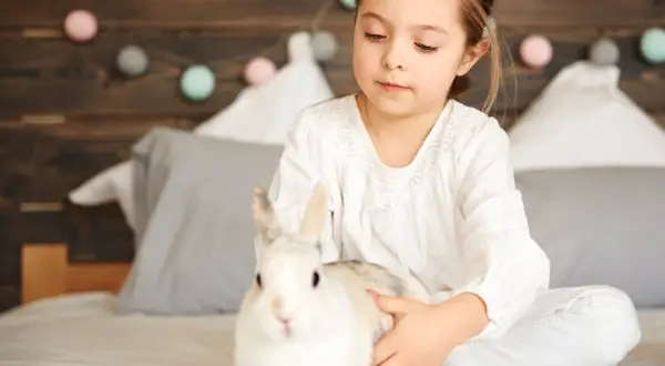 Ile kosztuje królik w zoologicznym? Ceny, które mogą Cię zaskoczyć