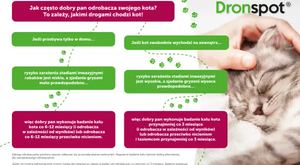 Co ile odrobacza się kota - kompletny harmonogram dla każdego pupila