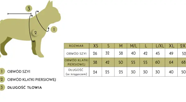 Jak dobrać rozmiar klatki dla psa: 5 najważniejszych wymiarów i zasad