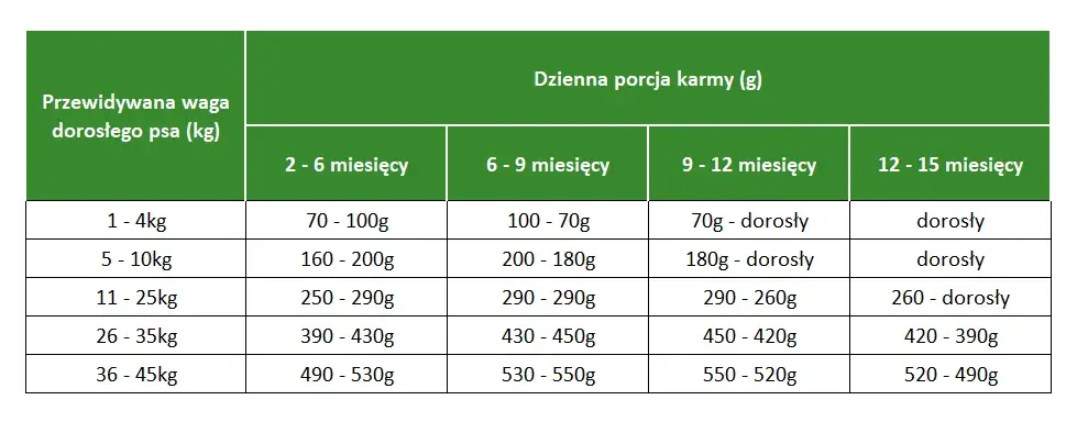 Co mogą jeść szczeniaki? Najlepsze pokarmy dla zdrowego wzrostu
