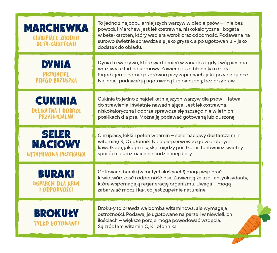 Czy koty mogą jeść buraki? Poznaj bezpieczne zasady karmienia pupila