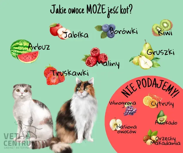 Które warzywa mogą jeść koty: lista bezpiecznych i szkodliwych produktów