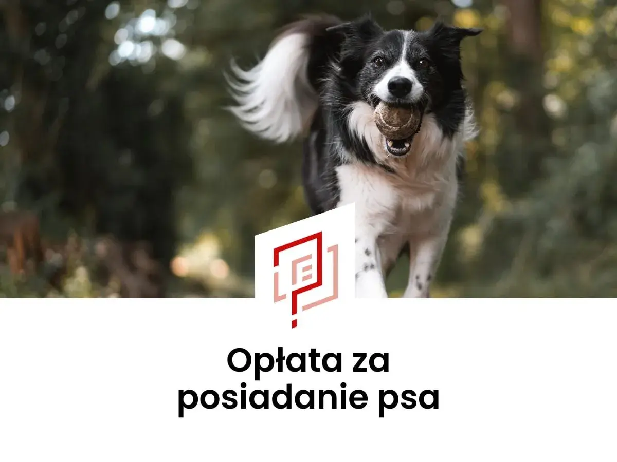 Radosny piesek z piłeczką w pysku. Tekst informuje o opłacie za posiadanie psa, czyli o podatku od psa.