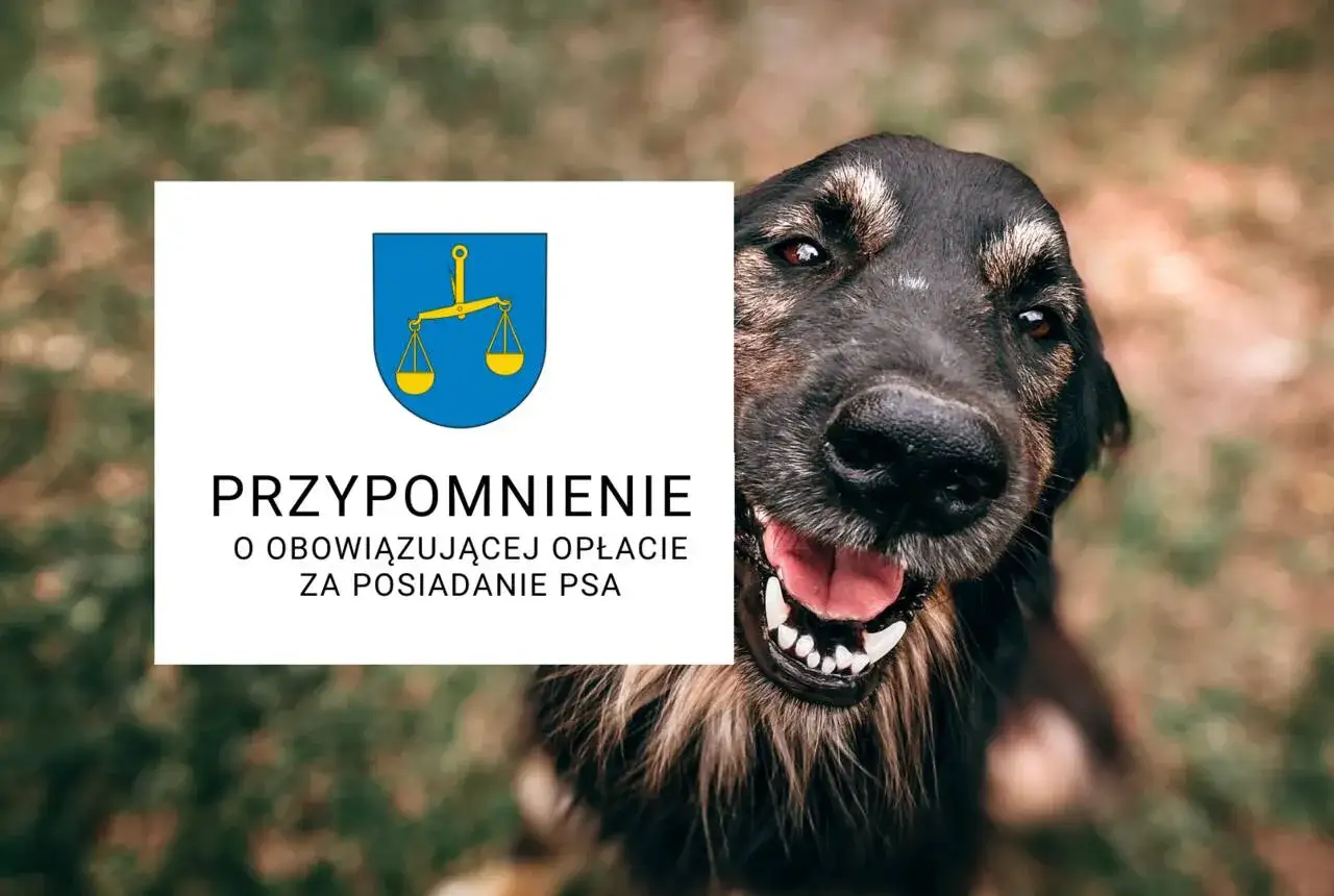 Uśmiechnięty pies przypomina o obowiązku zapłaty podatku od psa.