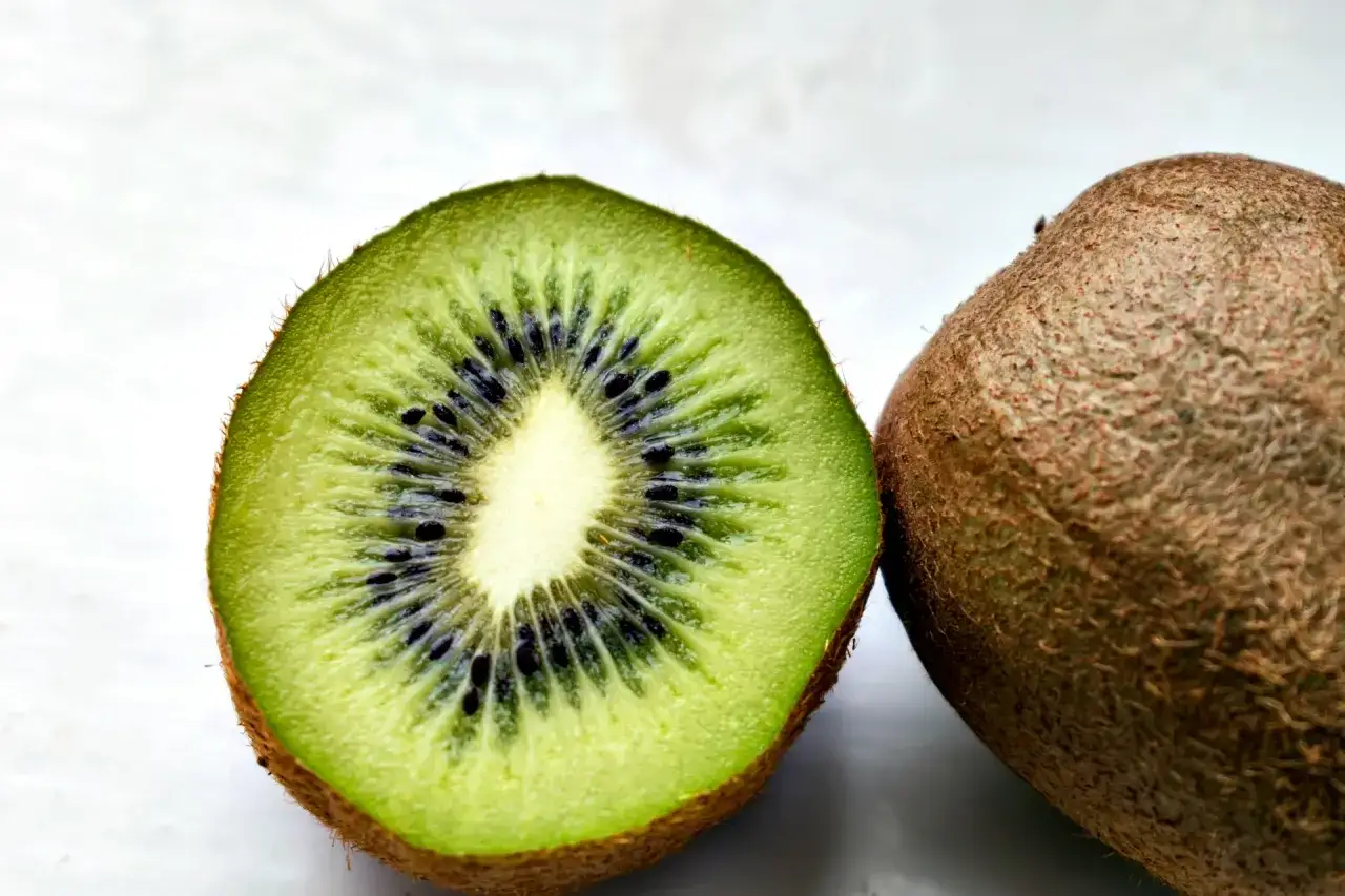 Zdjęcie Czy pies może jeść kiwi: Ważne zasady bezpiecznego karmienia pupila