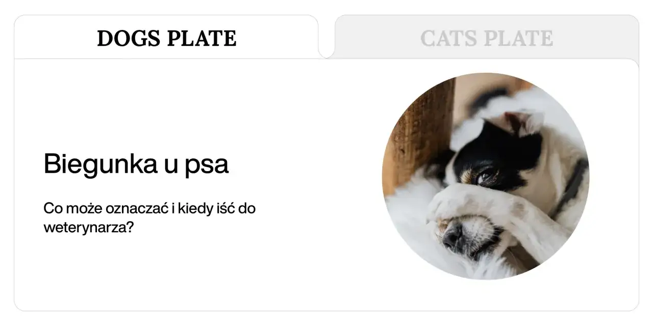 Chory piesek z biegunką. Rozważ nifuroksazyd dla psa, gdy weterynarz zaleci.