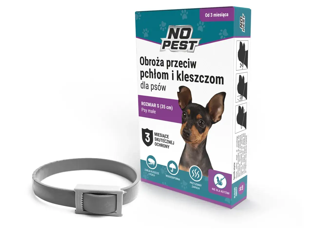 Zdjęcie Jaką obrożę przeciw kleszczom dla psa wybrać, by zapewnić bezpieczeństwo?