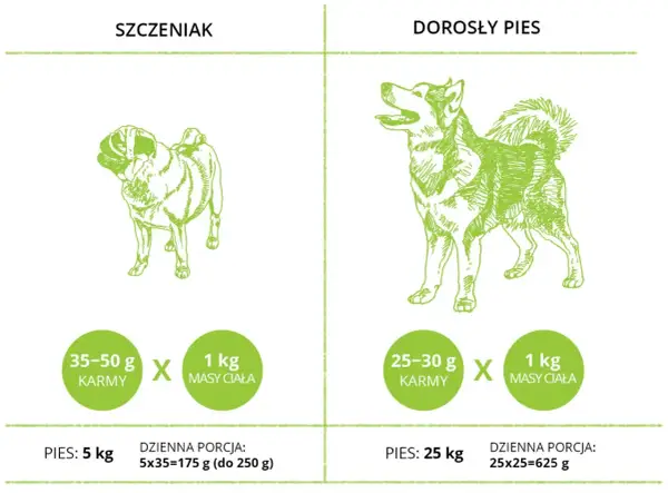 Tabela: ile powinien jeść szczeniak i dorosły pies. Pokazuje dzienne porcje karmy w zależności od wagi psa.