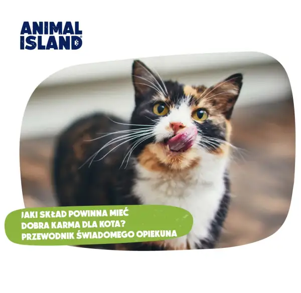 Dobra karma dla psa i kota: Jak rozpoznać prawdziwe premium?