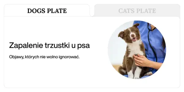 Szczeniak z objawami zapalenia trzustki u psa, badany przez weterynarza.