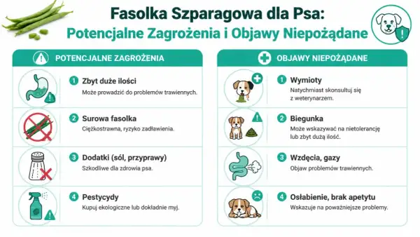 Czy pies może fasolkę szparagową? Obraz przedstawia zagrożenia i objawy niepożądane podania jej psom: problemy trawienne, wymioty, biegunka, wzdęcia.