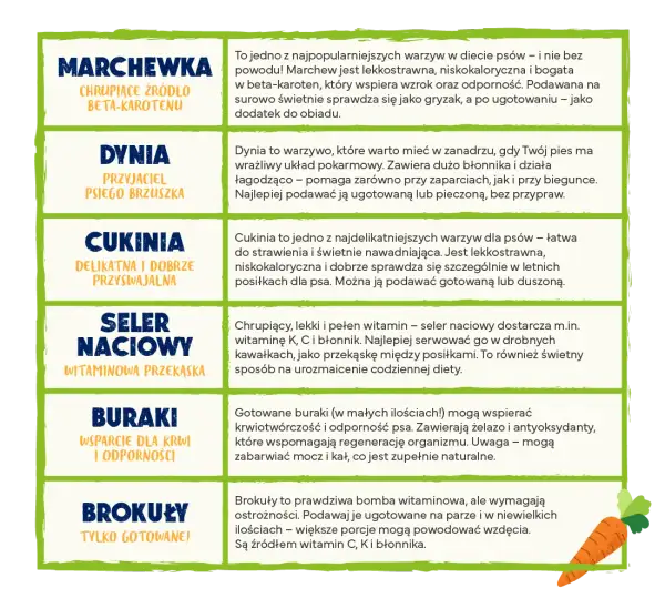 Czy koty mogą jeść buraki? Poznaj bezpieczne zasady karmienia pupila
