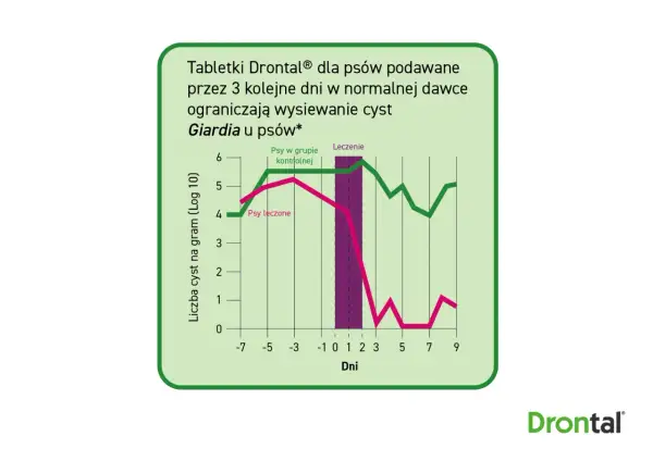 Wykres porównuje liczbę cyst Giardia u psów leczonych i kontrolnych. Leczenie Drontalem znacząco ogranicza wysiew cyst.